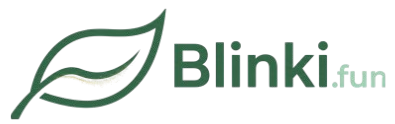 blinki.fun